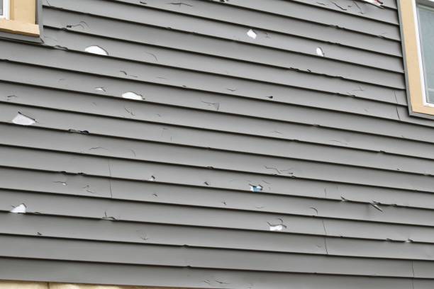 Best Historical Building Siding Restoration  in Waskom, TX